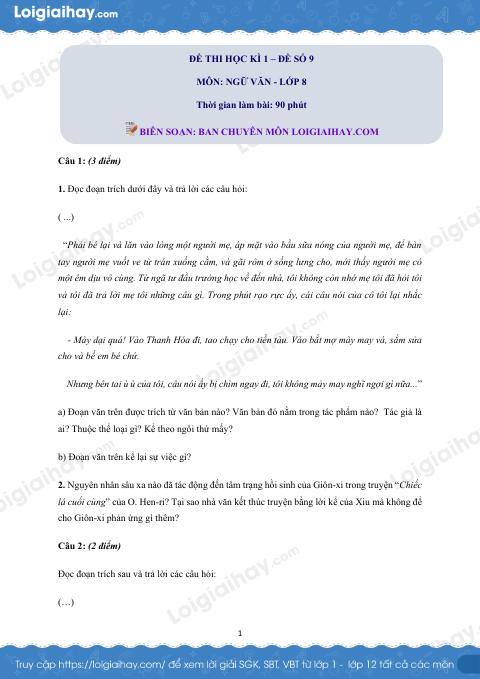 Đề số 9 - Đề kiểm tra học kì 1 (Đề thi học kì 1) - Ngữ văn 8
